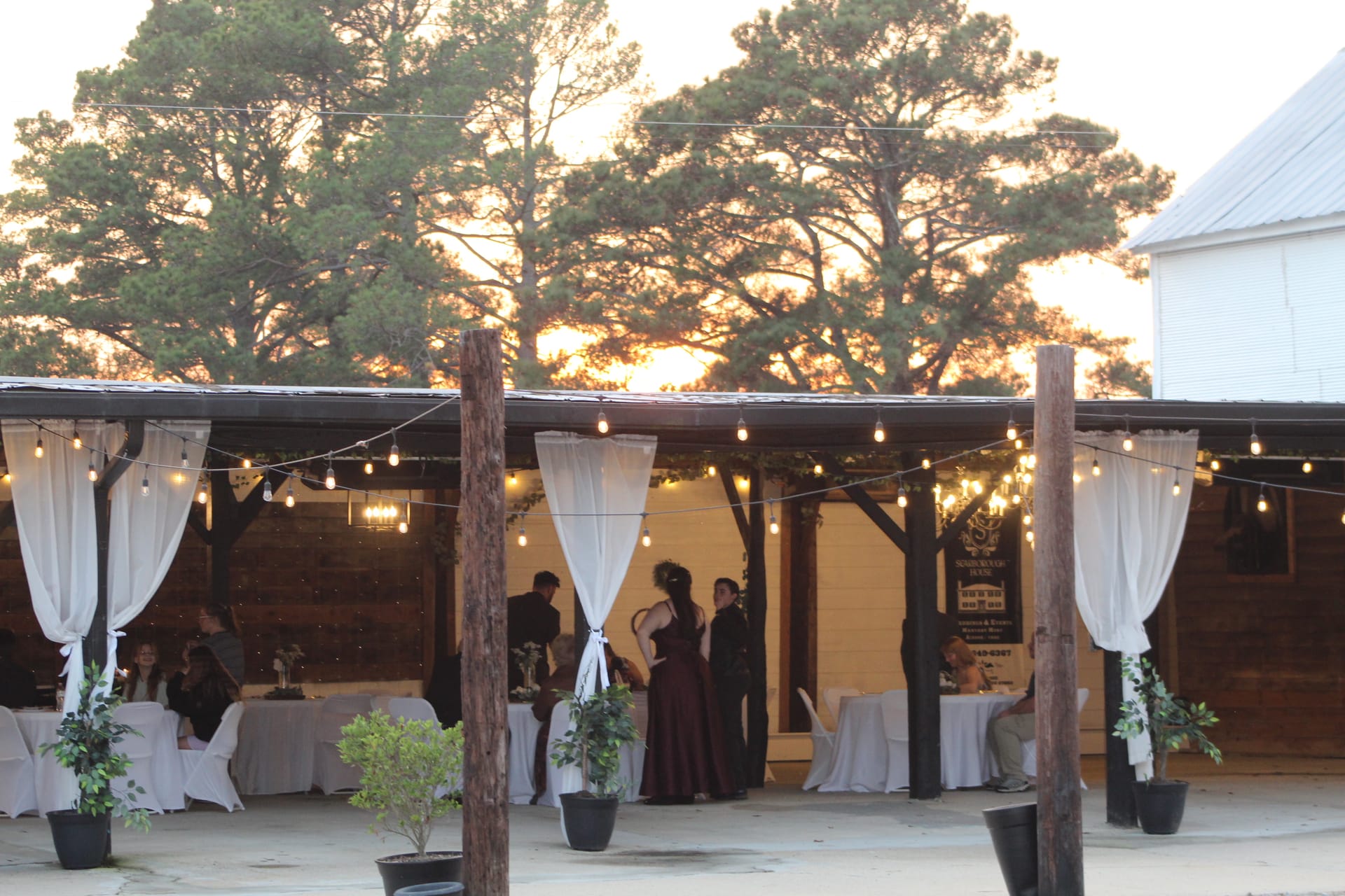 Guests mingle beneath string lights and white draped curtains at the Scarborough House magnolia pavilion reception during a warm golden-hour sunset.