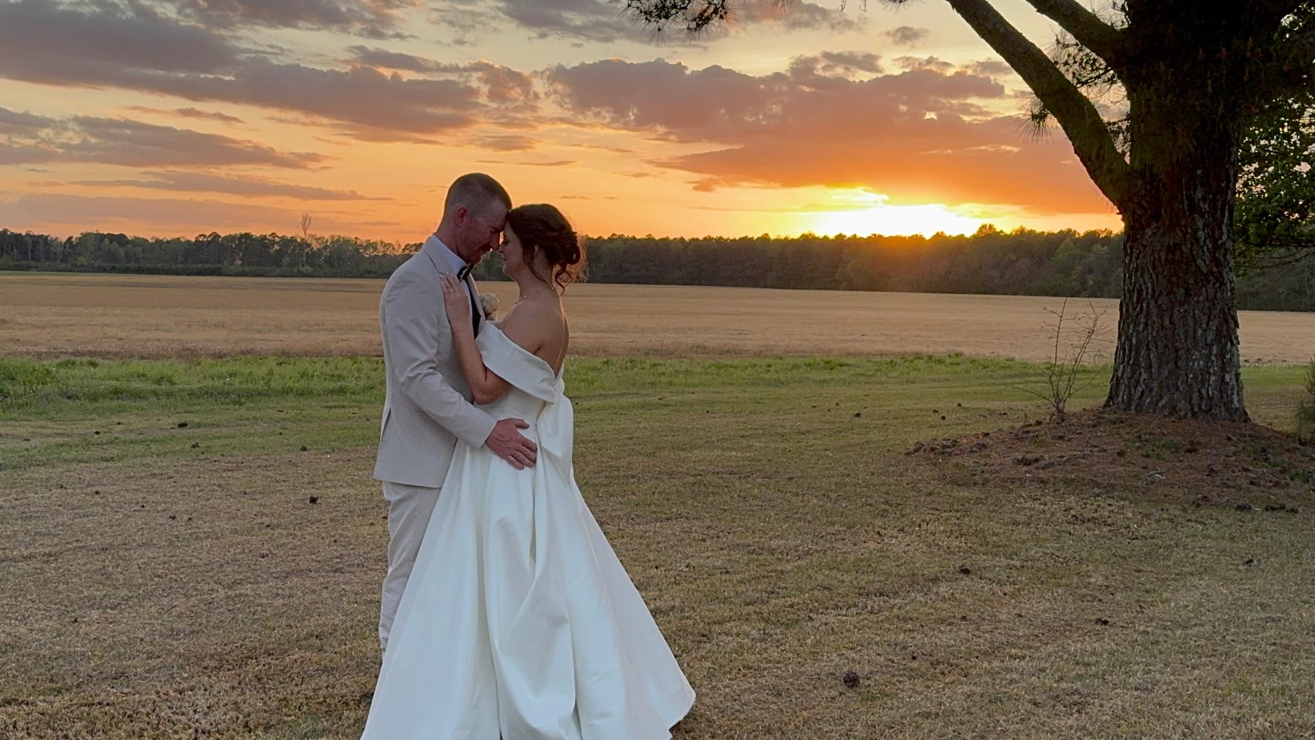 Bride and groom share a romantic embrace at sunset beside a grand oak tree overlooking the open farmland fields at Scarborough House estate wedding venue.