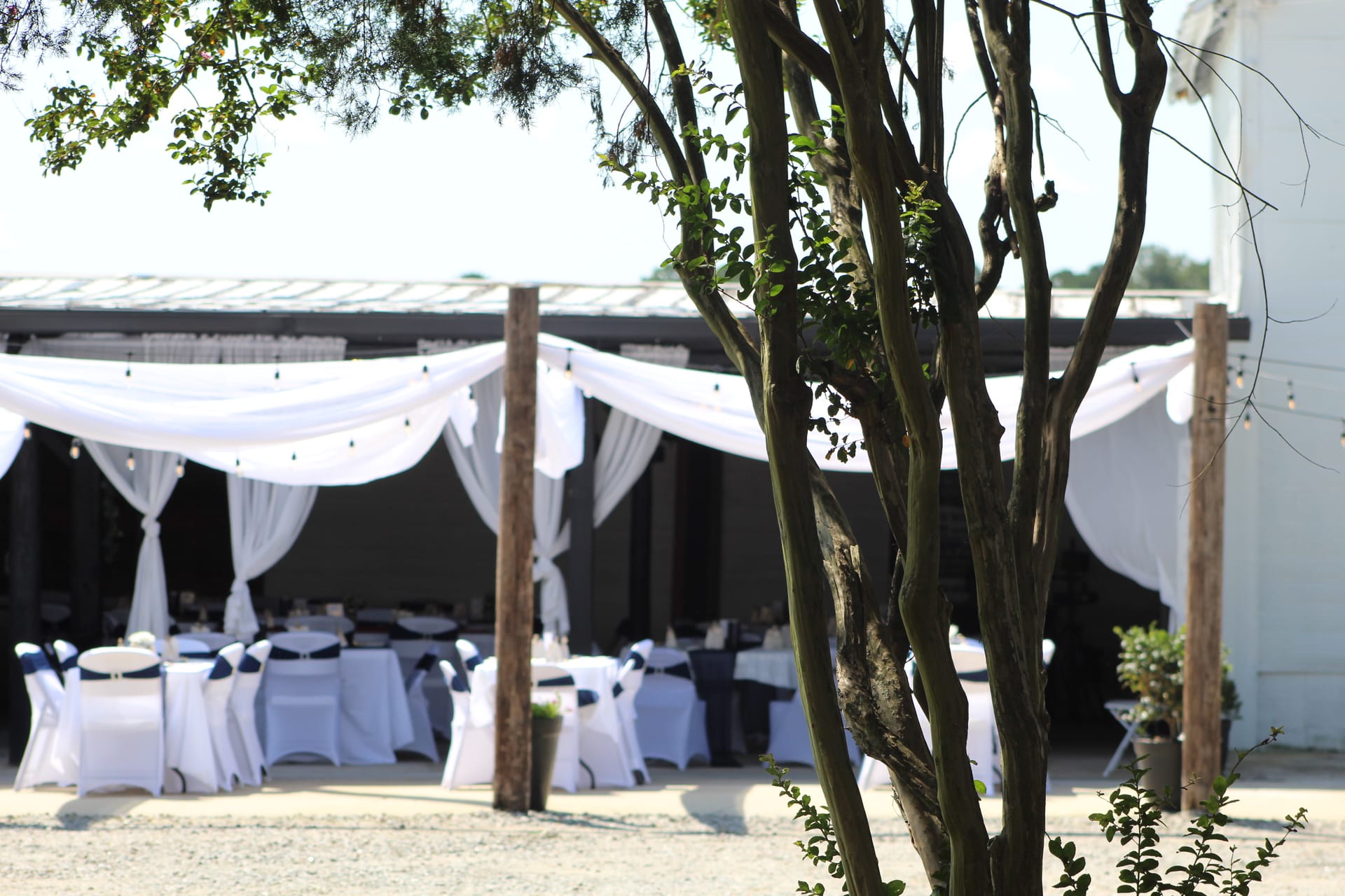 Elegantly draped white fabric and string lights frame round reception tables with white linens and navy chair sashes beneath a rustic open-air pavilion at Scarborough House wedding venue.