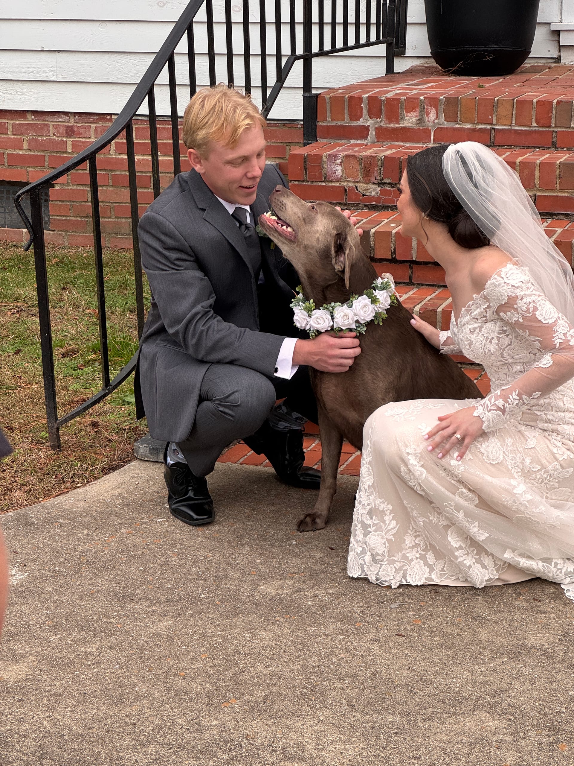 Bride in lace gown and groom in gray suit kneel beside their chocolate Labrador wearing a white floral collar on the brick front steps of a historic estate wedding venue.