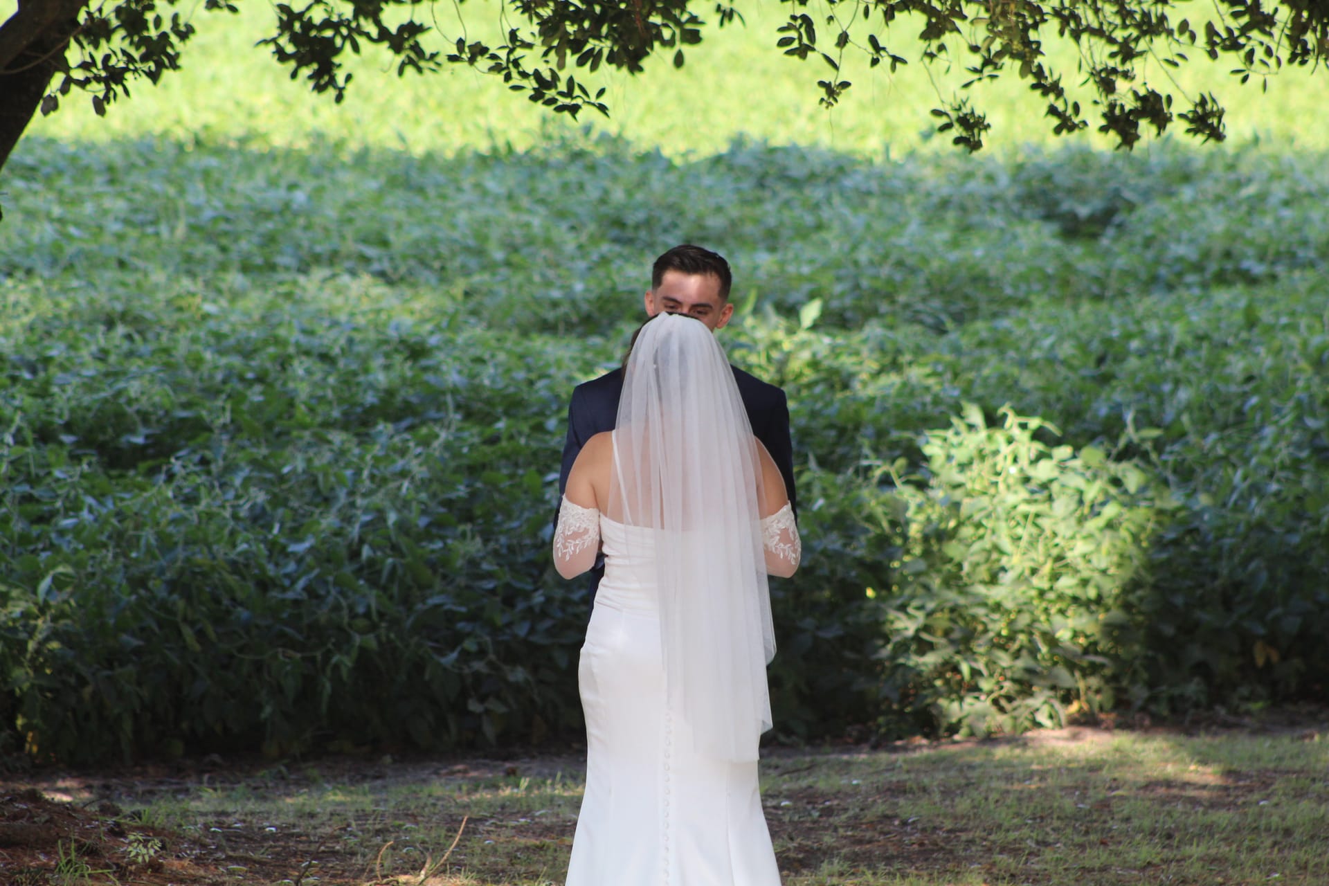 Bride in a white gown and veil embraces groom in a navy suit amid lush green gardens and oak trees at Scarborough House historic estate.