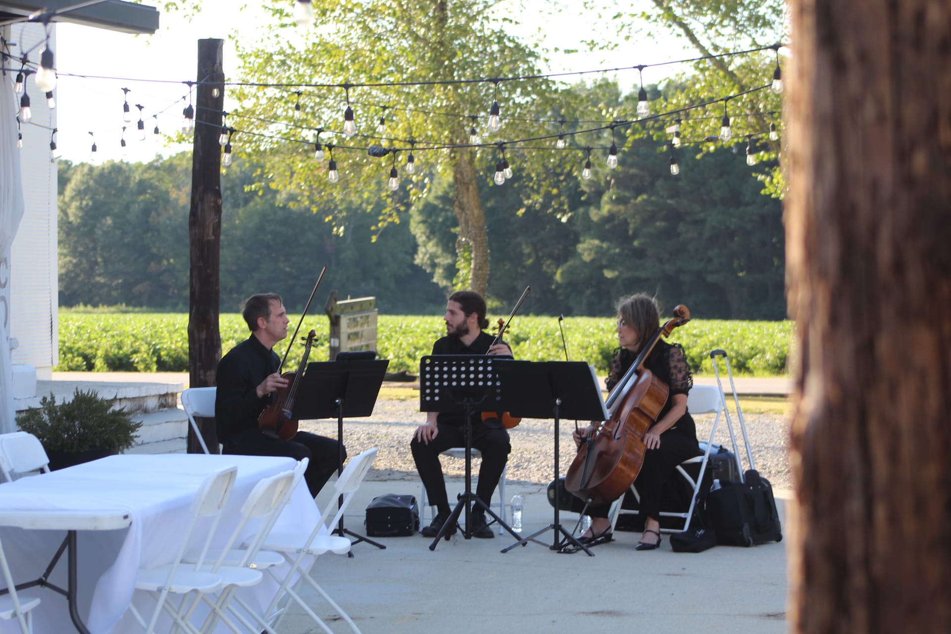 A string trio dressed in black performs outdoors at Scarborough House with Edison string lights overhead and green farmland fields in the background.