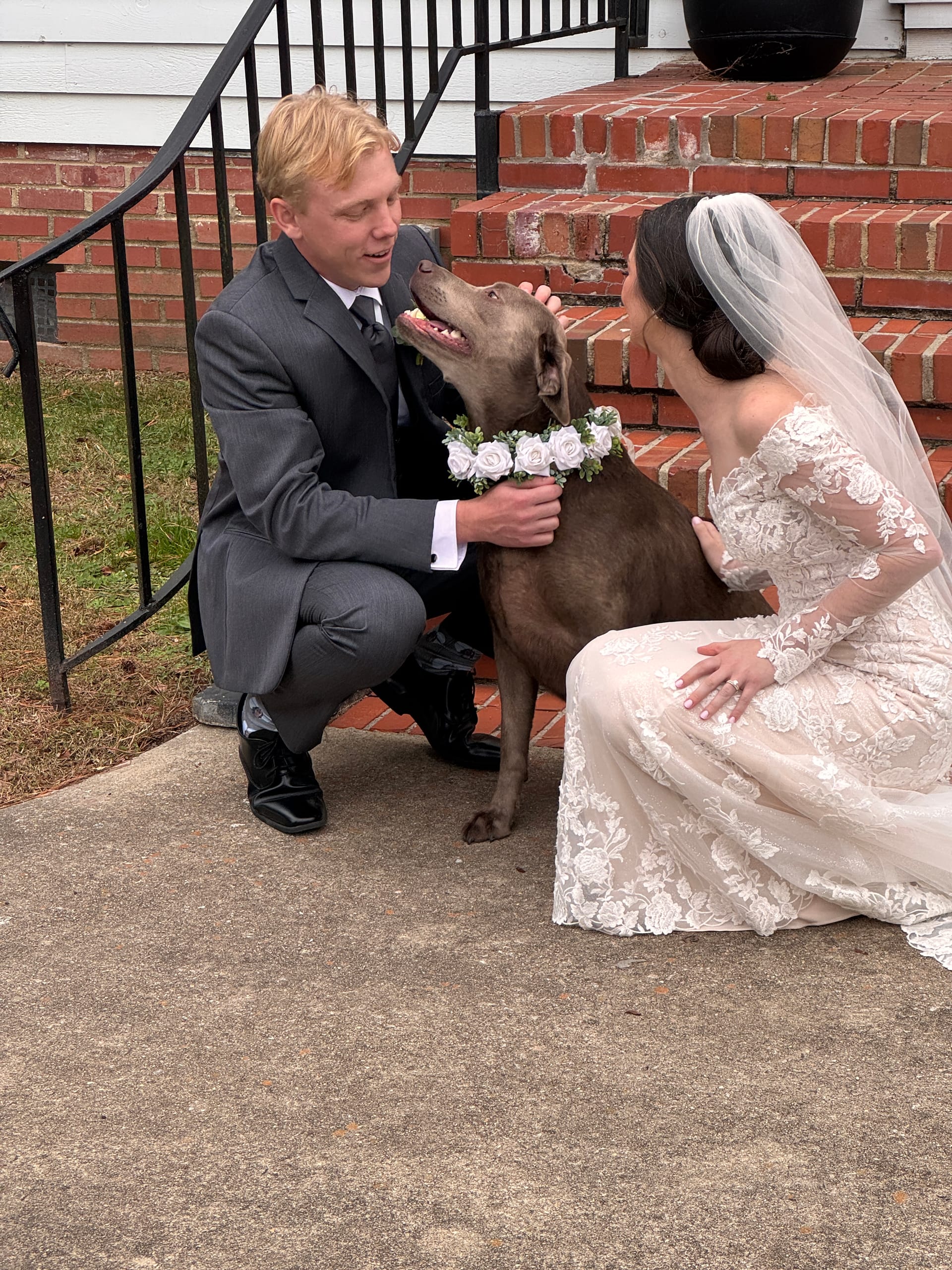 Bride in lace gown and groom in gray suit crouch on brick front steps petting their chocolate dog wearing a white floral collar at Scarborough House.