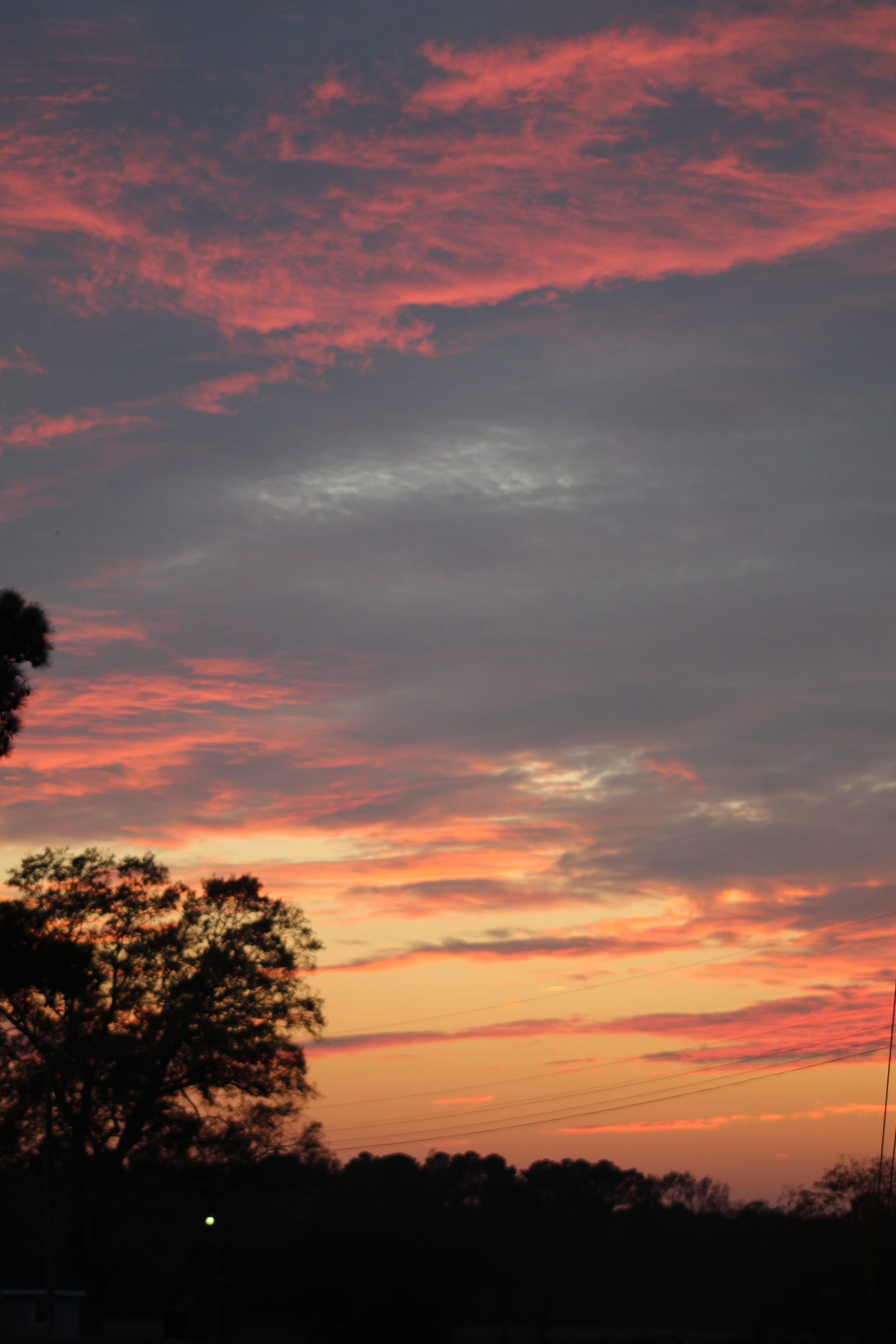 Dramatic pink and orange sunset sky silhouetting oak trees at Scarborough House historic estate wedding venue.