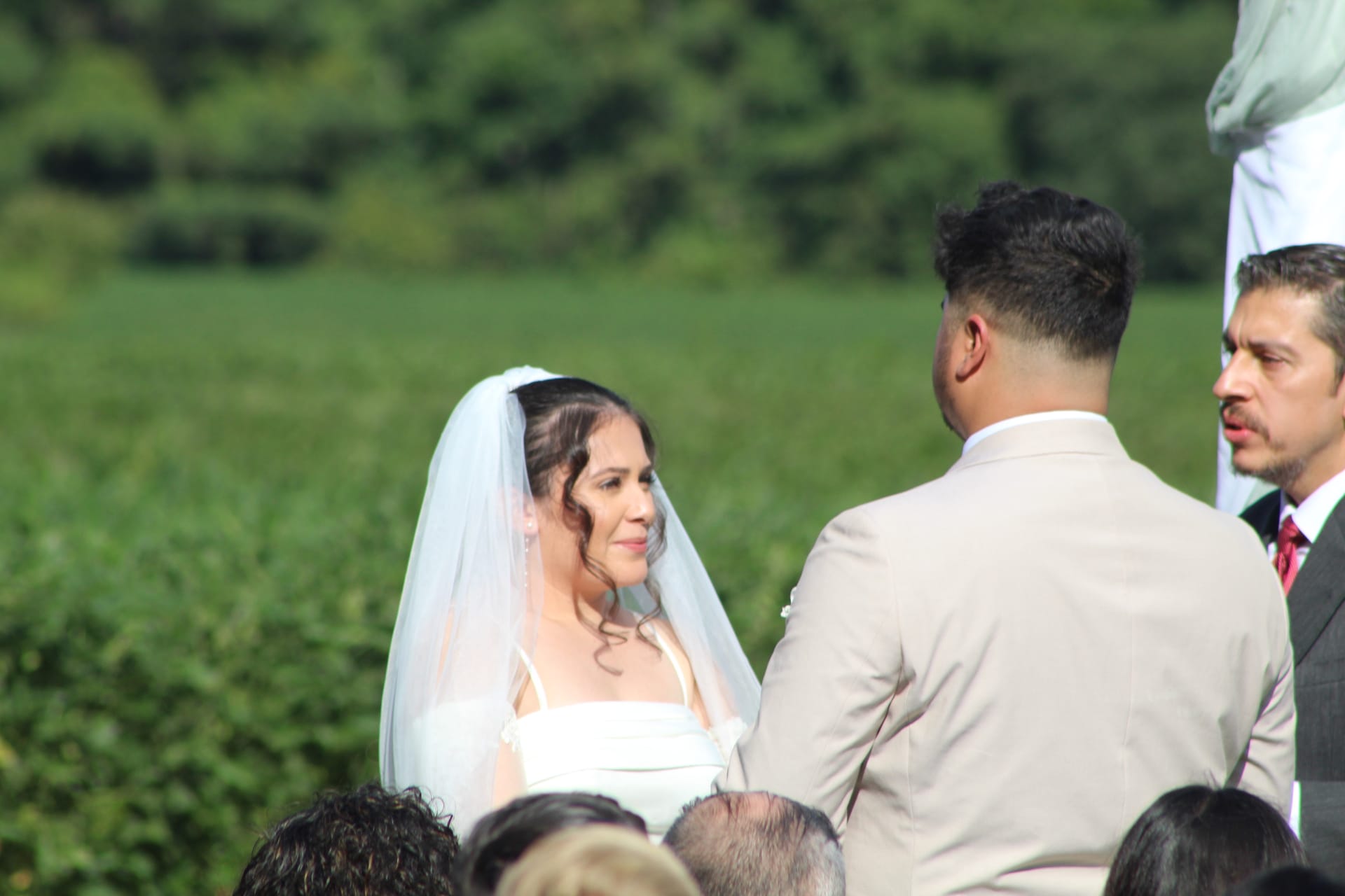 Bride in white gown and veil gazes lovingly at groom during outdoor wedding ceremony surrounded by lush green farmland fields at Scarborough House estate.