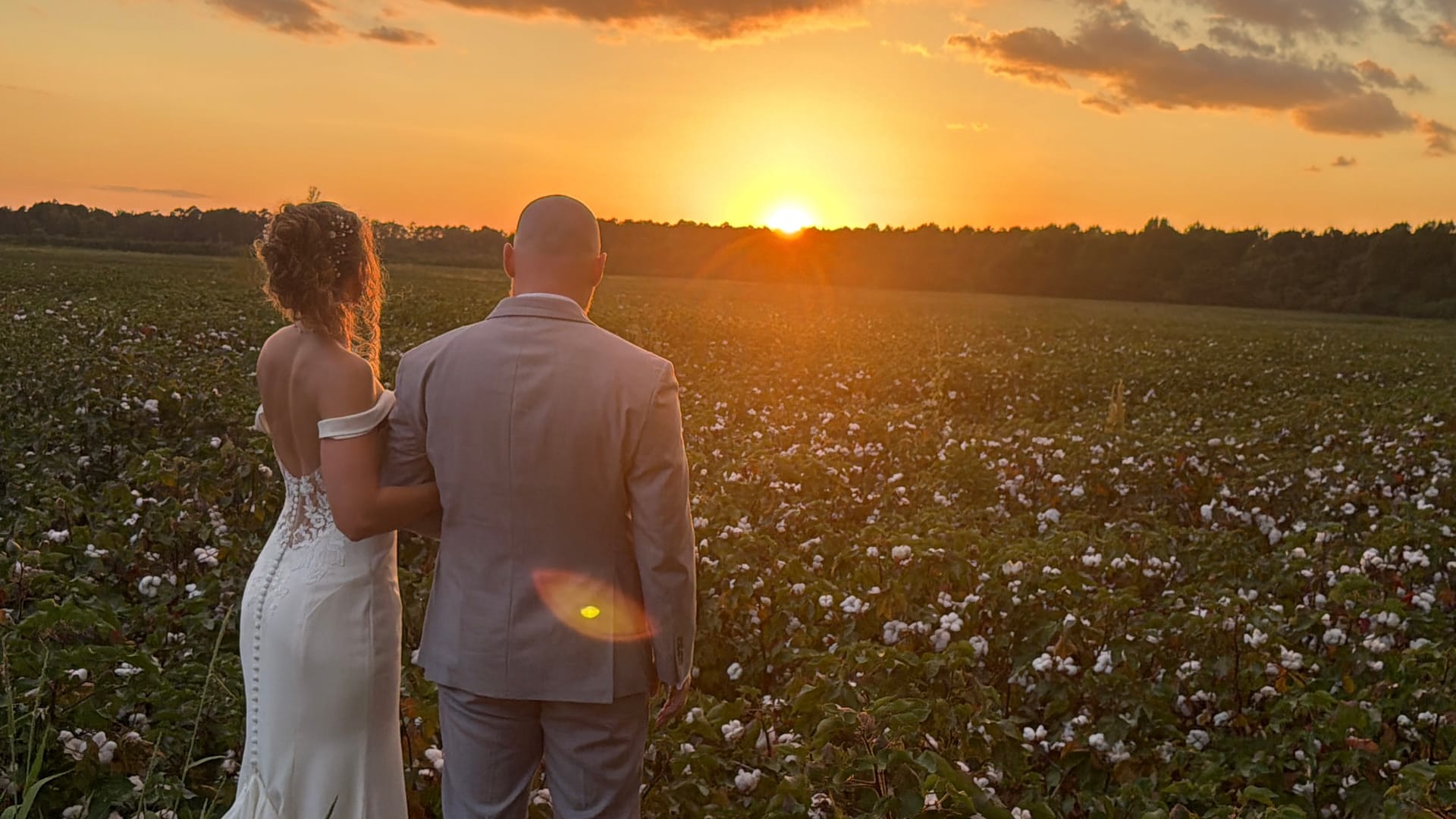 Bride in white gown and groom in gray suit stand together facing a glowing sunset over a sprawling cotton field at Scarborough House estate.