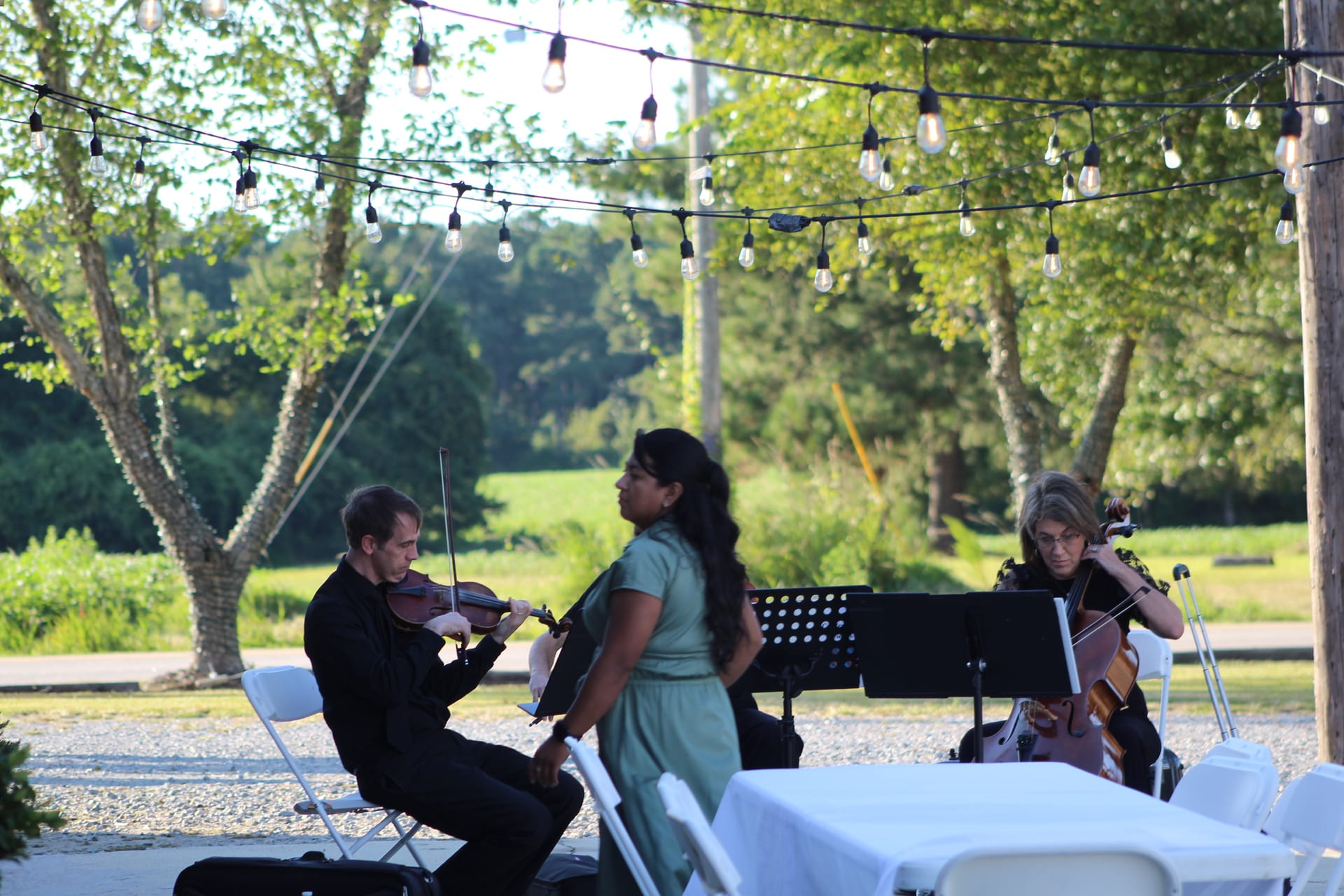 Live string musicians performing under Edison bulb string lights on the ceremony lawn at Scarborough House wedding venue surrounded by lush green trees.