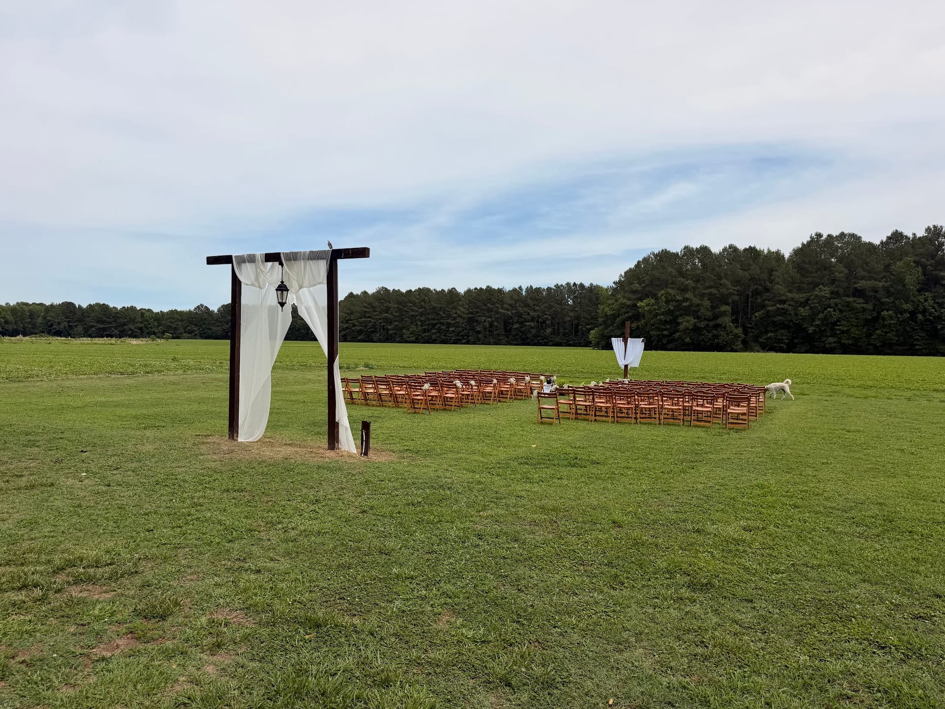 Outdoor wedding ceremony setup on a green lawn at Scarborough House featuring a rustic wooden arch with white draping, rows of wooden chairs, and a backdrop of dense trees under a cloudy sky.