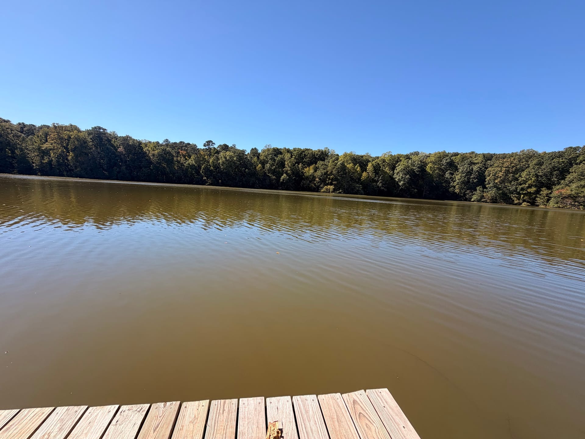 The millpond and tree-lined shore at Historic Yates Mill County Park in Raleigh