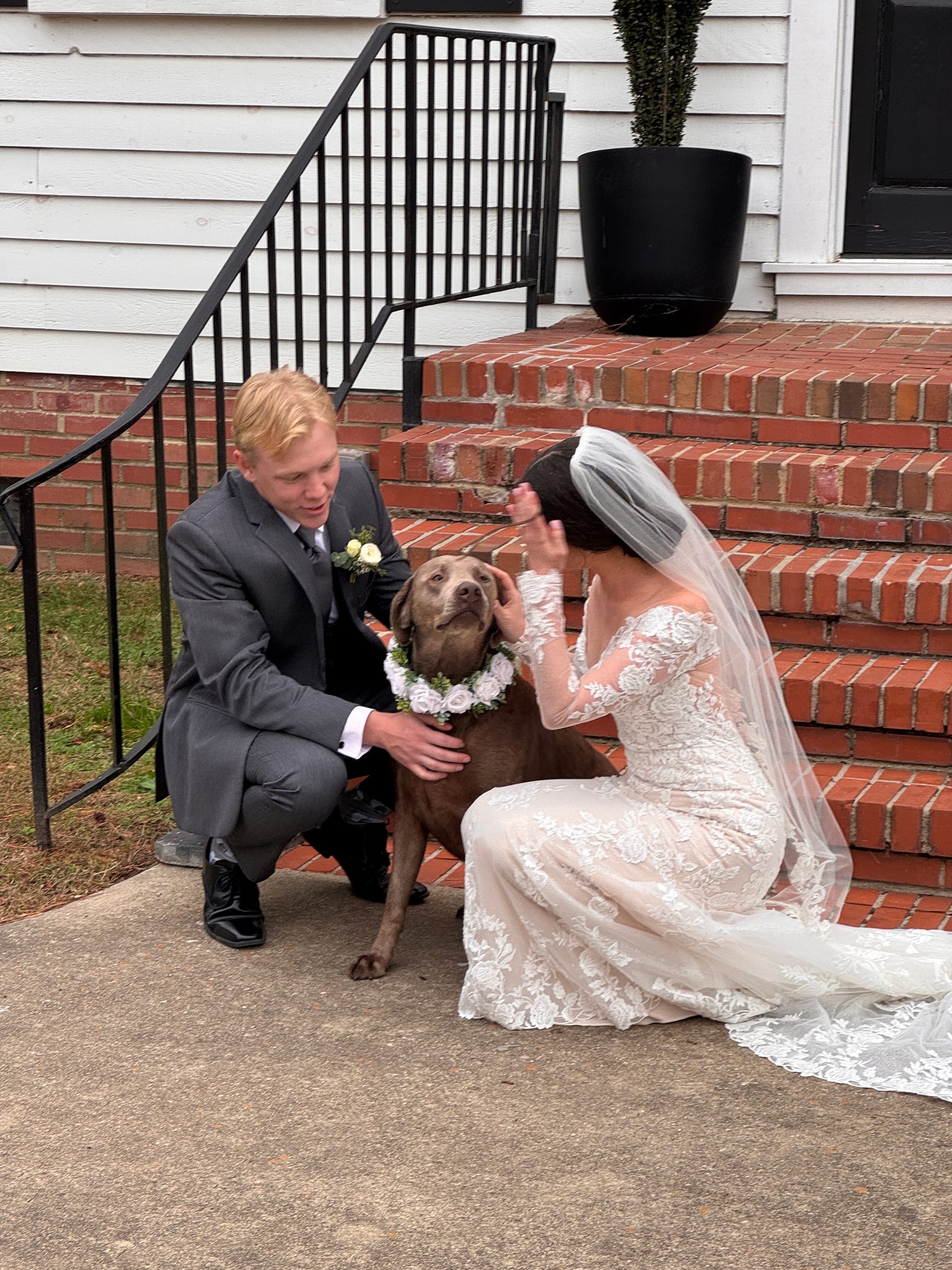 Bride in lace gown and groom in gray suit kneel on brick front steps with their chocolate Labrador wearing a floral wreath collar at a historic estate wedding venue.