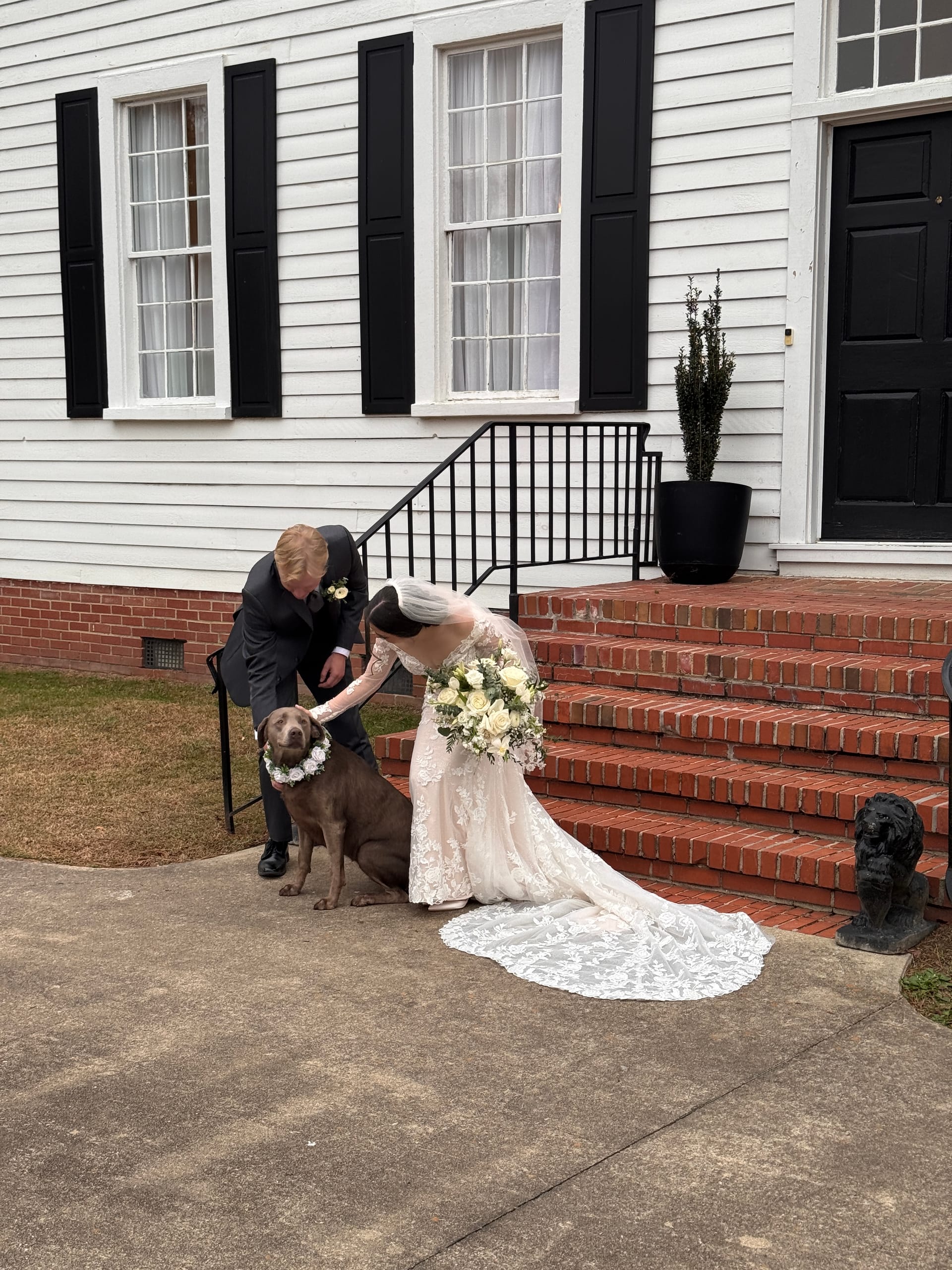 Bride in lace gown and groom in dark suit lean down to pet their chocolate Labrador wearing a floral collar on the brick steps of the 1821 Scarborough House manor.