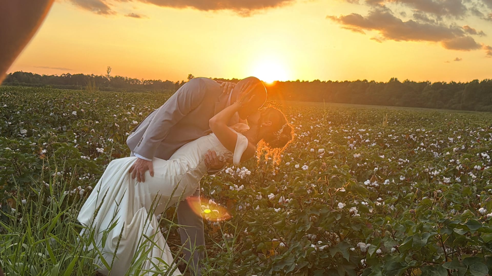 Bride and groom share a romantic dip kiss silhouetted against a glowing golden sunset in a blooming cotton field at Scarborough House.