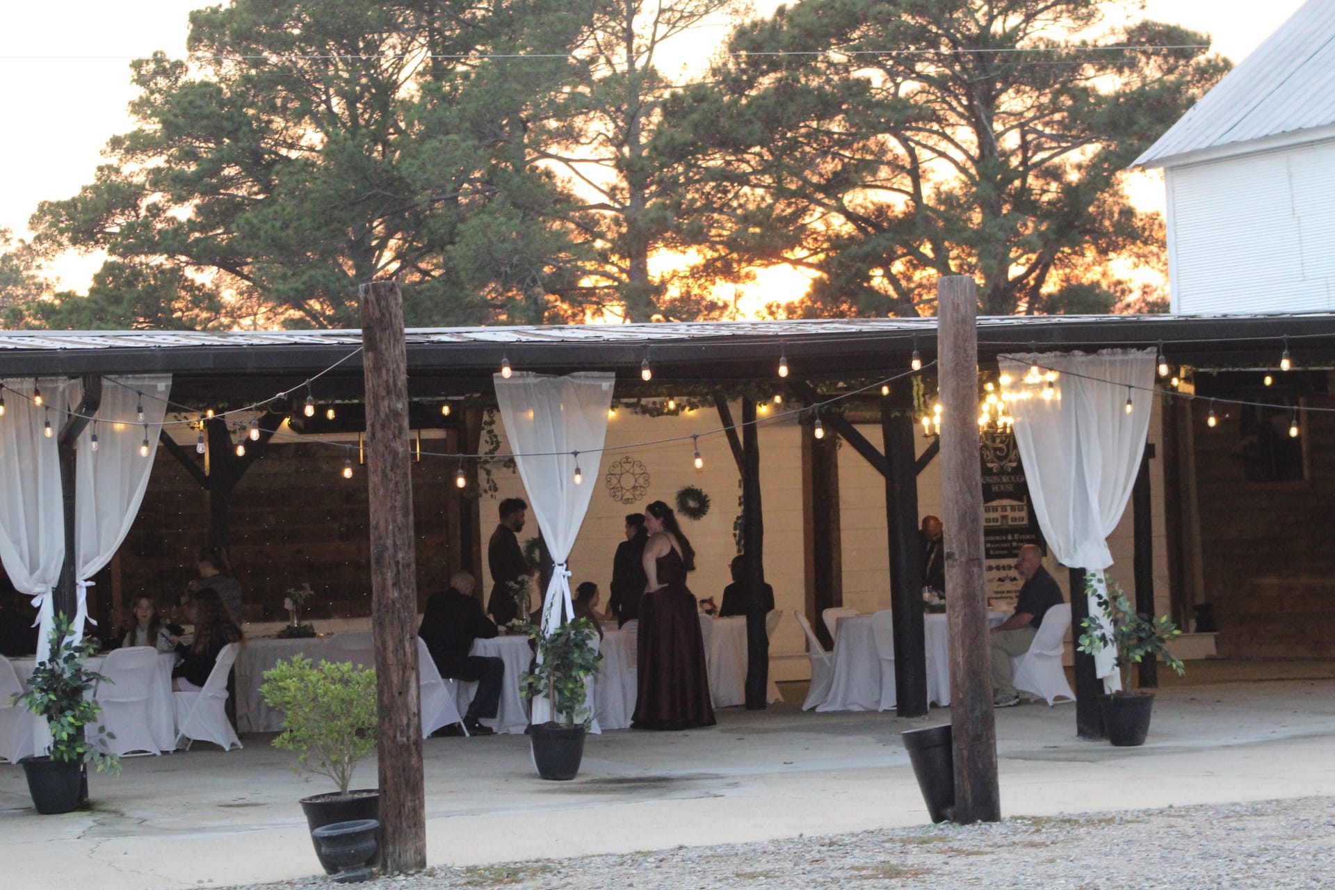 Guests mingle beneath a rustic open-air pavilion adorned with white draping and warm string lights at Scarborough House as the golden sunset glows through the pine trees.