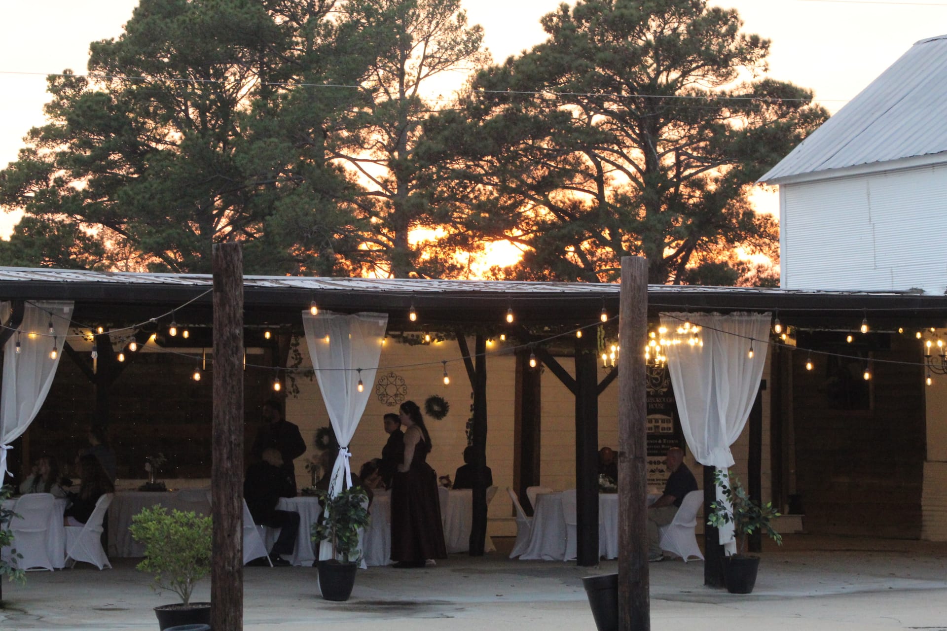 Guests mingle at an elegant outdoor evening reception under a rustic pavilion draped with white curtains and warm string lights at Scarborough House, with a vivid golden sunset glowing through pine trees in the background.