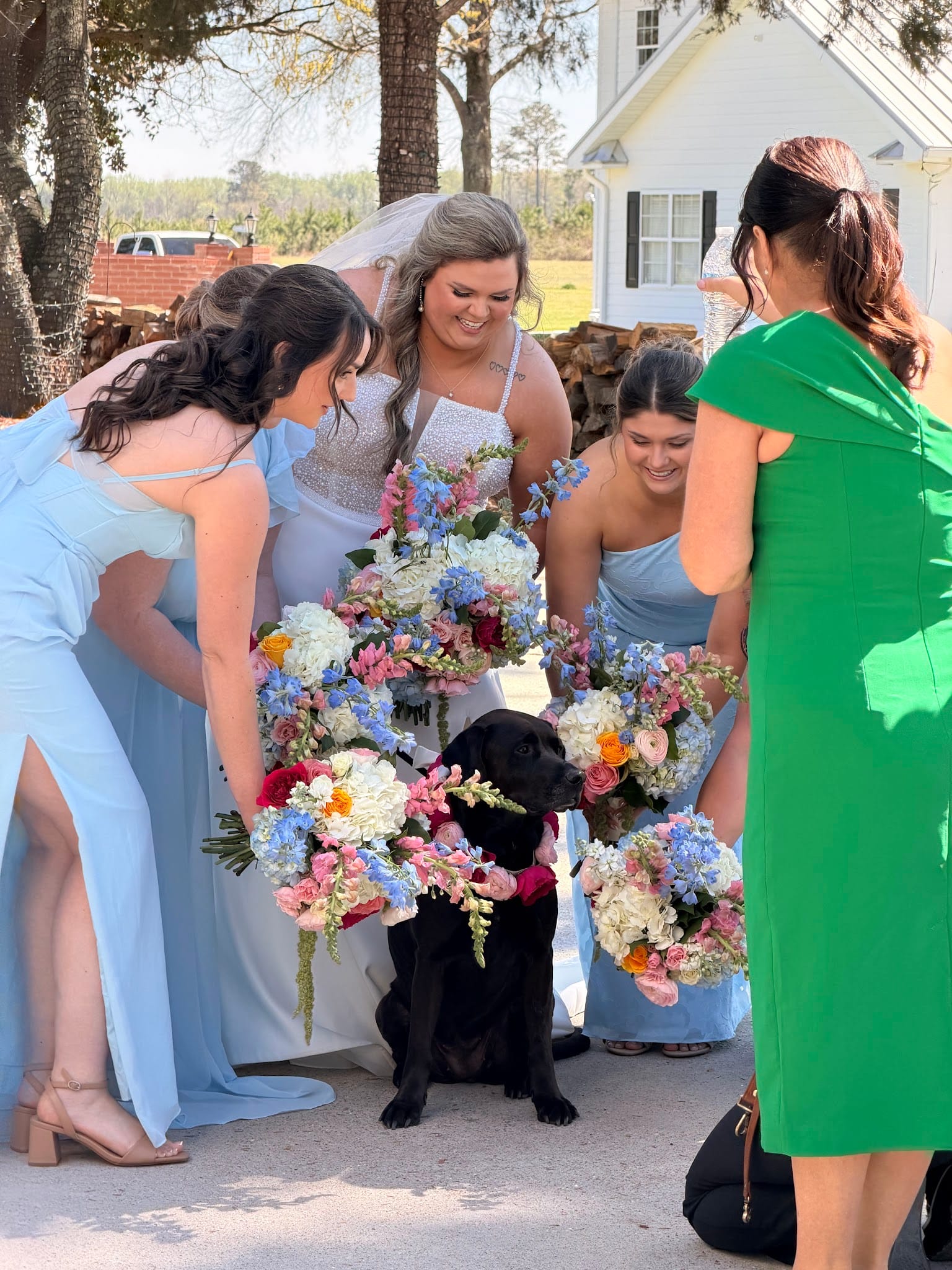 Bride in white gown and bridesmaids in light blue dresses lean in around a flower-crowned black Labrador holding bouquets at a historic estate wedding venue.