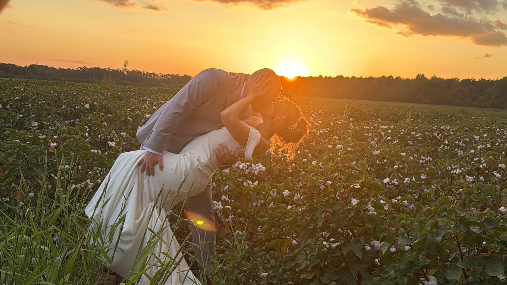 Bride and groom share a romantic dip kiss silhouetted against a glowing golden sunset in a cotton field at Scarborough House estate.
