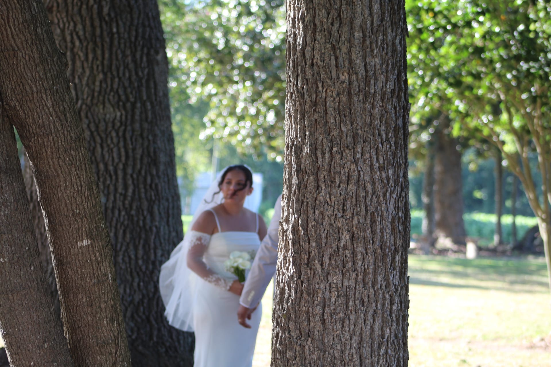 Bride in a white lace-sleeved gown and veil holding a white bouquet glimpsed between two large oak tree trunks on the sunlit grounds of Scarborough House.