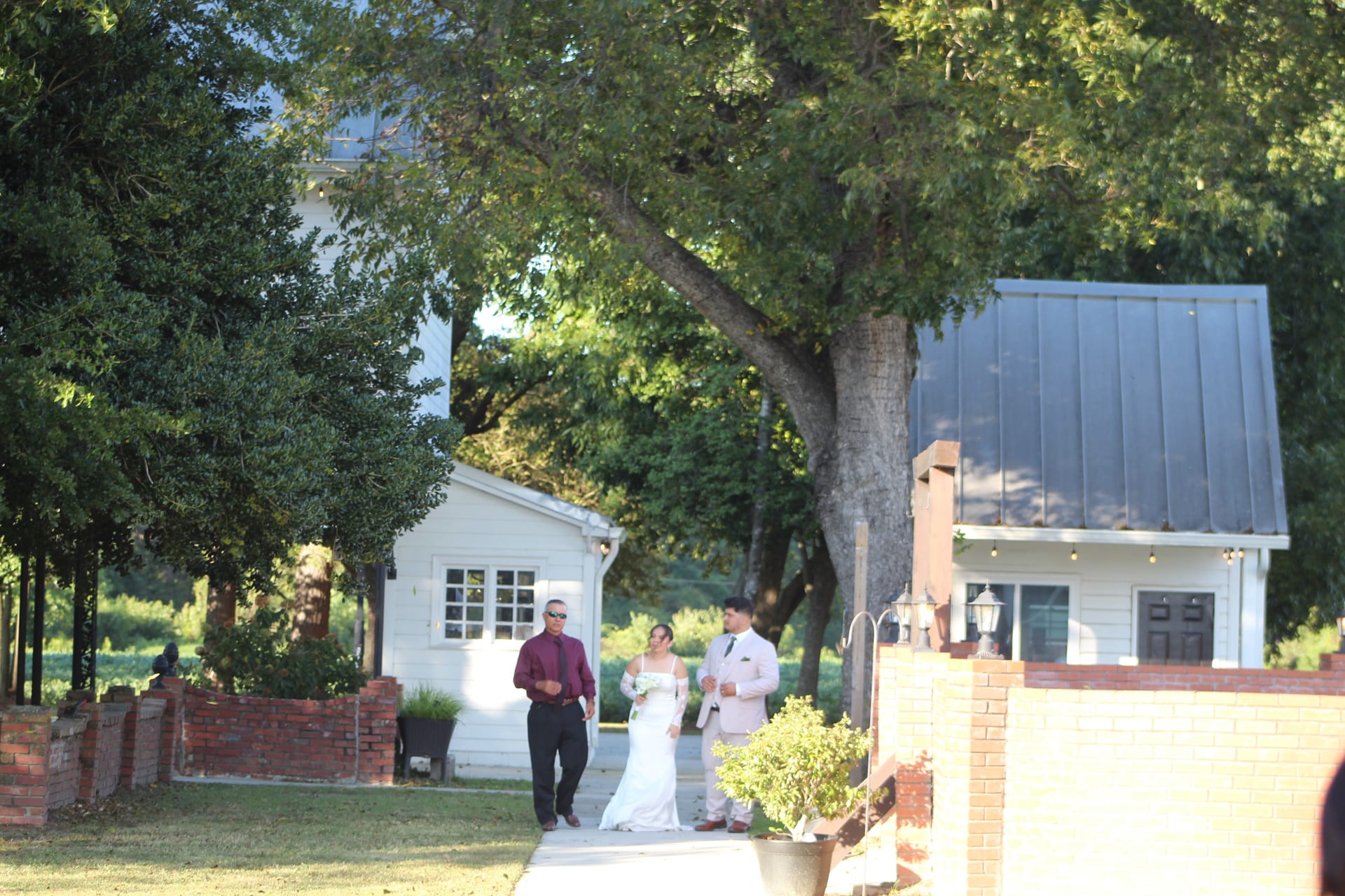 Bride in a white gown walks with two escorts along a brick-lined path toward the ceremony at Scarborough House historic estate, framed by towering oak trees and white farmhouse buildings.