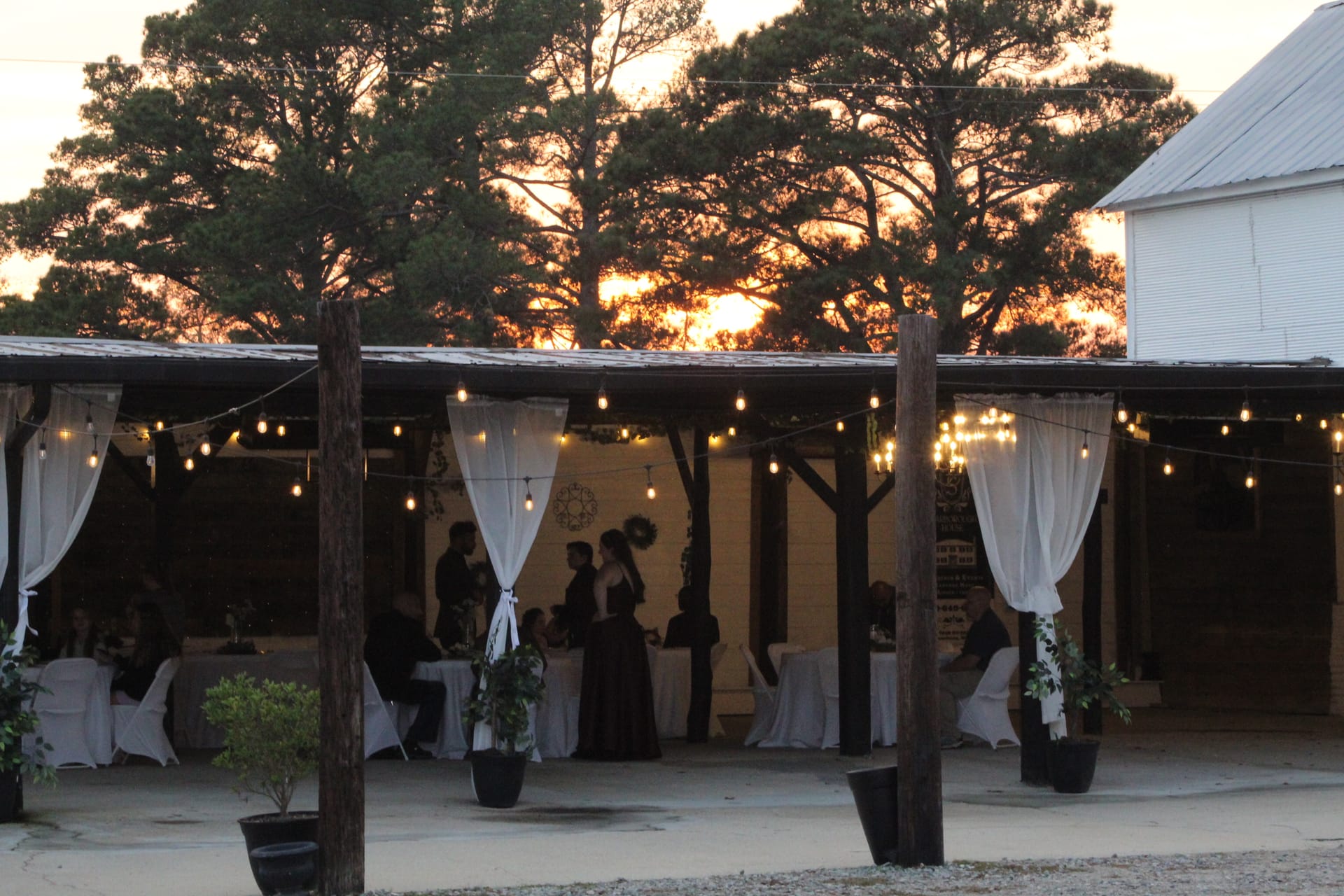 Guests mingle under a warmly lit open-air pavilion draped in white curtains and string lights at Scarborough House, with a vibrant golden sunset glowing through the surrounding pine trees.
