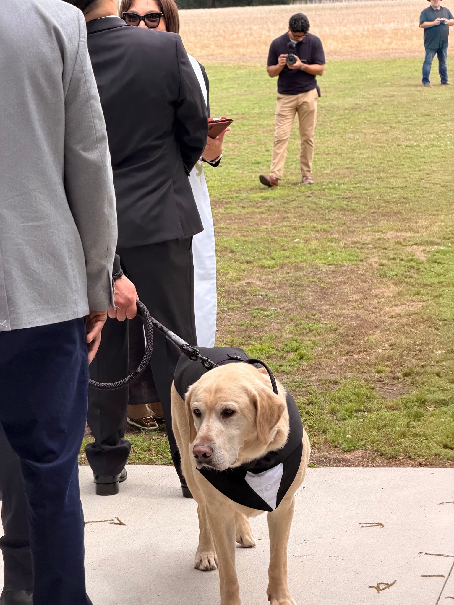 A golden Labrador wearing a black tuxedo vest stands on a paved path at an outdoor wedding at Scarborough House estate, held on a leash by a guest in formal attire with the ceremony lawn and historic farmland fields in the background.