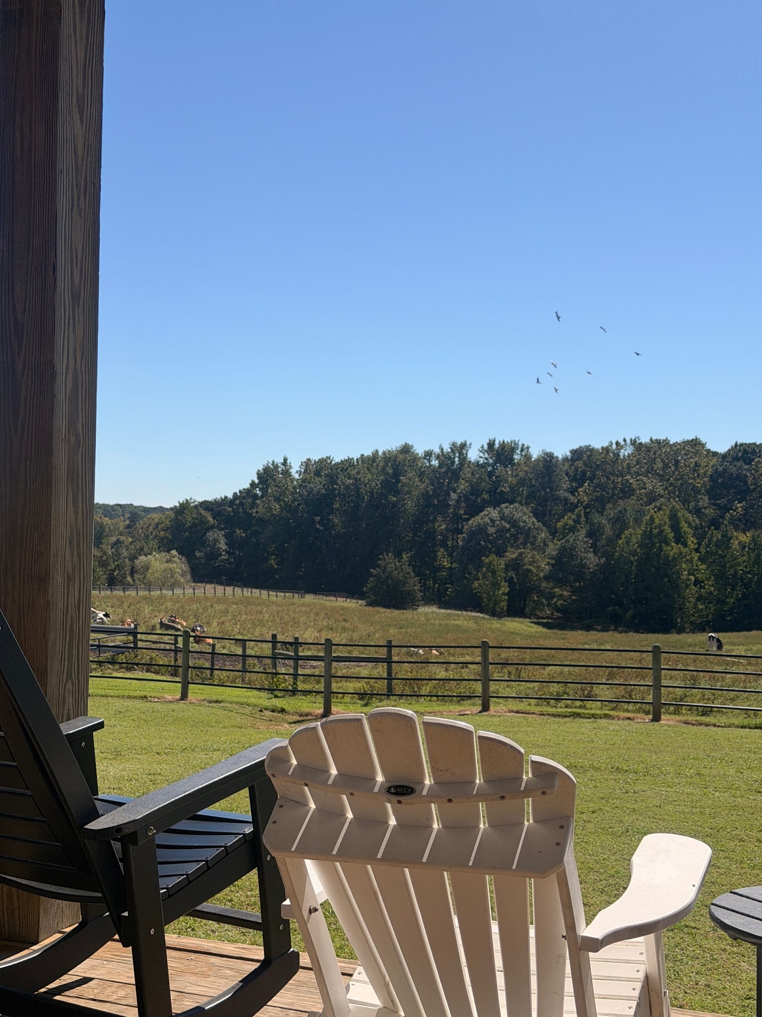 Porch seating overlooking the fenced green fields at Howling Cow