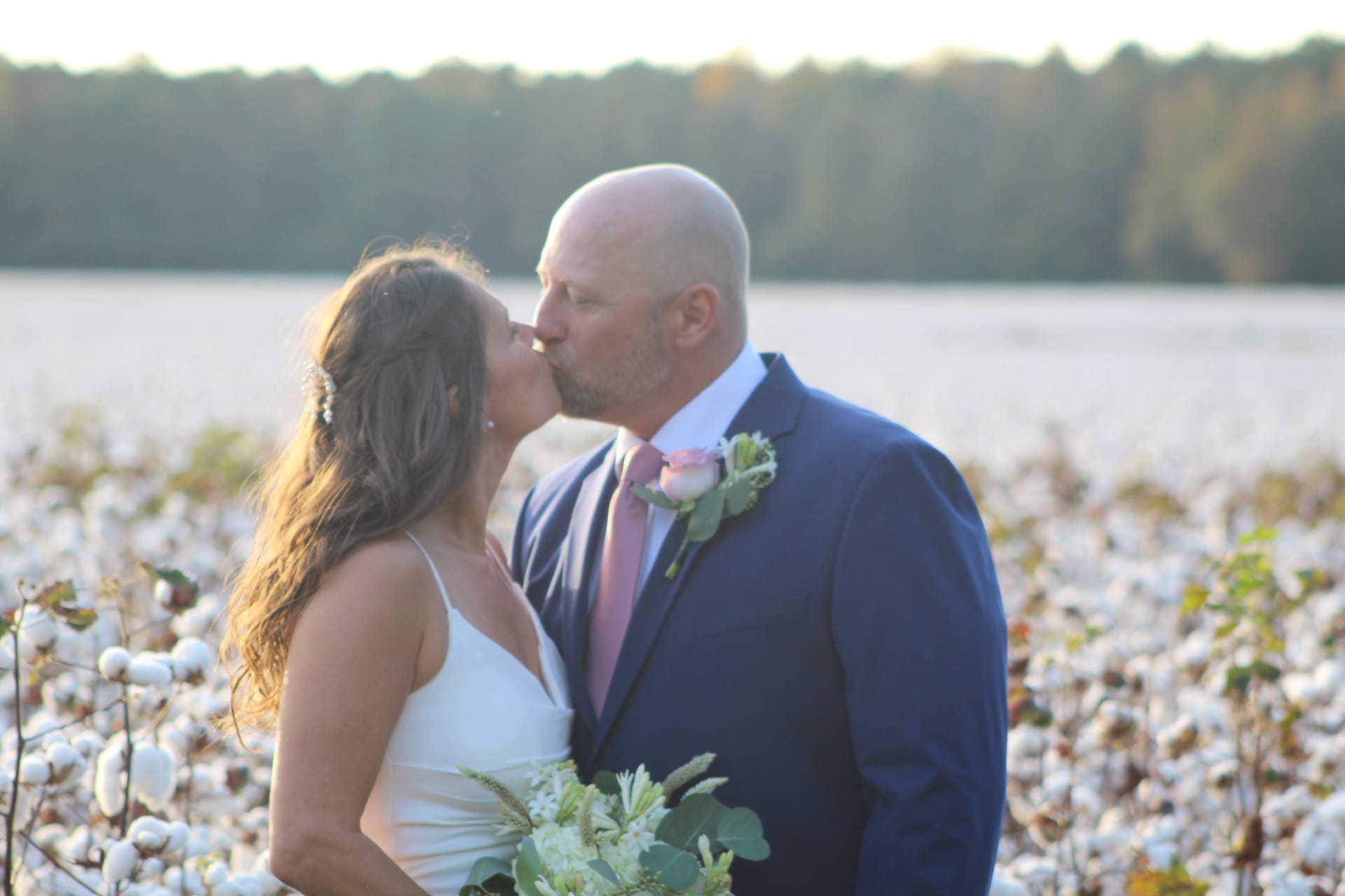 Bride and groom share a romantic kiss in a sunlit cotton field at golden hour with a tree line in the background.